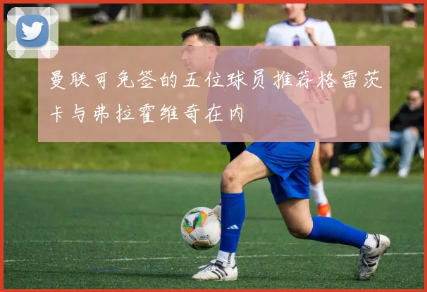 曼联可免签的五位球员推荐格雷茨卡与弗拉霍维奇在内