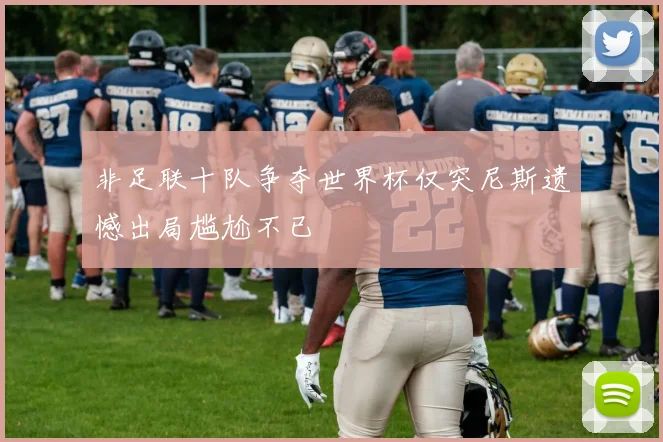 非足联十队争夺世界杯仅突尼斯遗憾出局尴尬不已
